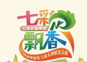 《七彩飘香》云南卫视周六21:20播出的滇菜特色节
